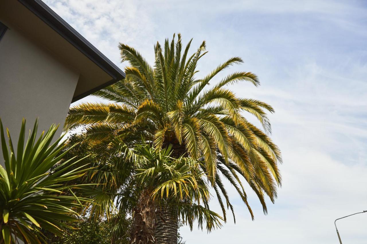Blenheim Palms Motel Exterior foto